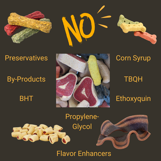 Ingredient No-No's Manufacturers put in your Pets Food!